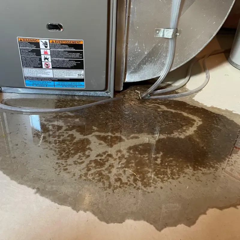 Appliance Leak Cleanup in Lahaina, HI