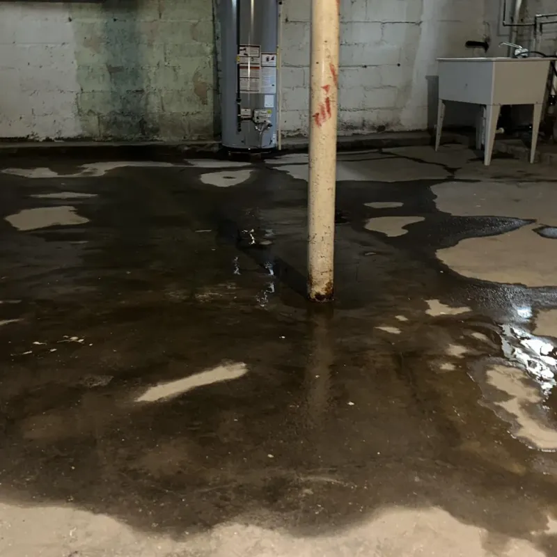 Emergency Water Extraction And Removal in Lahaina, HI